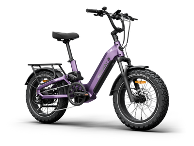 Himiway D5<sup> 2.0</sup> 20" eBike
