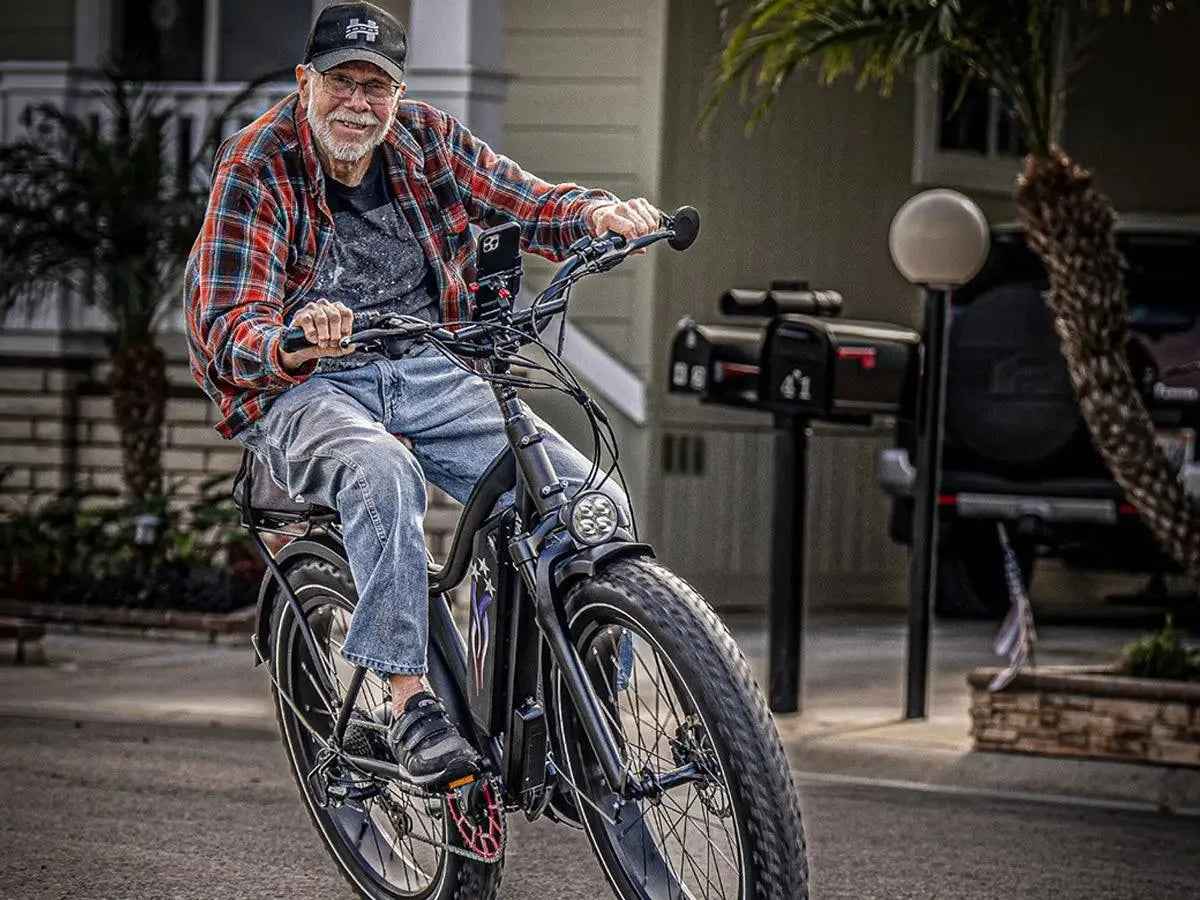 D3(Cruiser) / Long Range Fat Tire Electric Bike