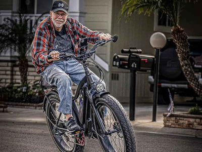 D3(Cruiser) / Long Range Fat Tire Electric Bike