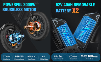 Ridstar® Q20Pro 2000W Fat Tire Ebike