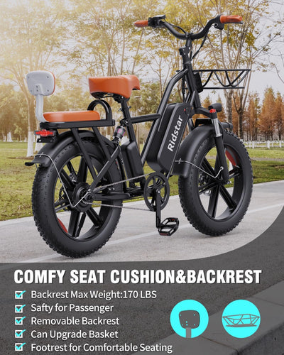 Ridstar® FM001 2-Seater Fat Tire Electric Bike