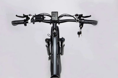Ridstar® E Bike E26 1000W Motor 48V 20AH Battery
