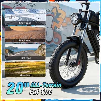 Ridstar® Q30 2000W 48V 25AH Fat Tire Ebike