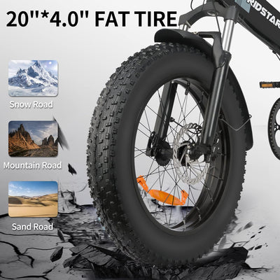 Ridstar® H20 1000W Electric Mountain Bike
