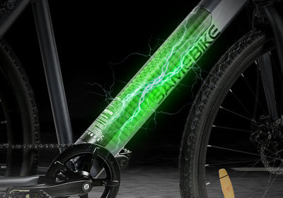 Samebike XWP10