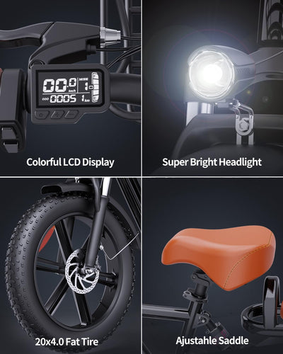 Ridstar® FM001 2-Seater Fat Tire Electric Bike