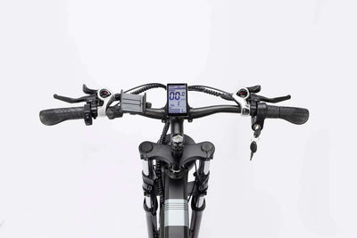 Ridstar H26PRO 2000W Folding Fat Tire Mountain Electric Bike