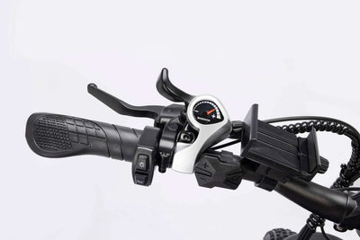 Ridstar H26PRO 2000W Folding Fat Tire Mountain Electric Bike