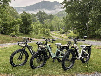 D5 ST(Zebra ST) / All-terrain Electric Fat Bike