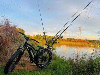 D3(Cruiser) / Long Range Fat Tire Electric Bike