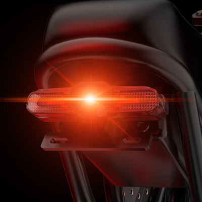 Ridstar® E Bike E26 1000W Motor 48V 20AH Battery
