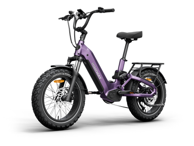 Himiway D5<sup> 2.0</sup> 20" eBike