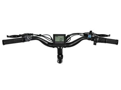 D3(Cruiser) / Long Range Fat Tire Electric Bike