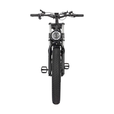 Ridstar H26PRO 2000W Folding Fat Tire Mountain Electric Bike