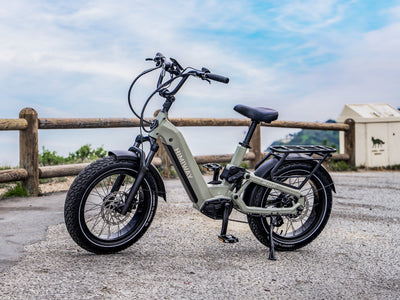 Himiway D5<sup> 2.0</sup> 20" eBike