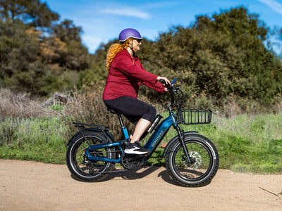 Himiway D5<sup> 2.0</sup> 20" eBike