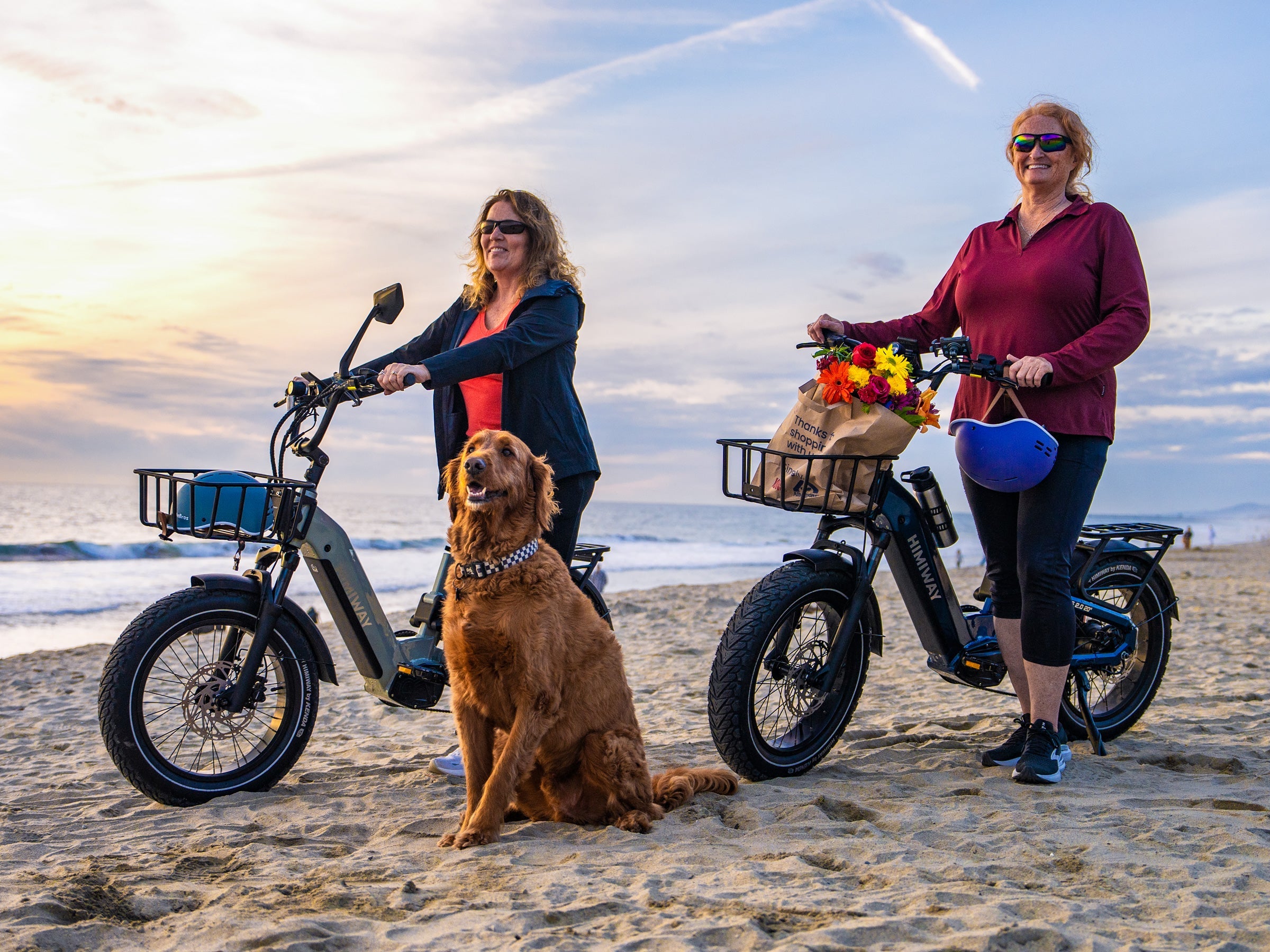 Himiway D5<sup> 2.0</sup> 20" eBike