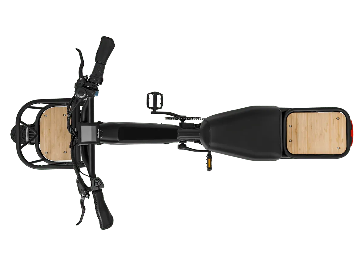 Himiway Escape Pro Moped-Style eBike – rear view