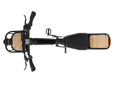 Himiway Escape Pro Moped-Style eBike – rear view