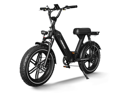 Himiway Escape Pro Moped-Style eBike – rear three-quarter view
