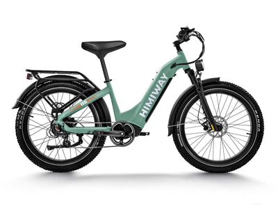 D5 ST(Zebra ST) / All-terrain Electric Fat Bike in green