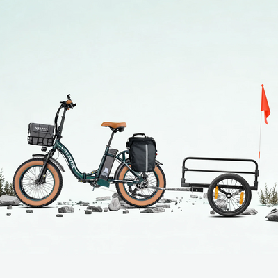 A VTUVIA SF20H with the basket bag in the front basket and a trailer behind