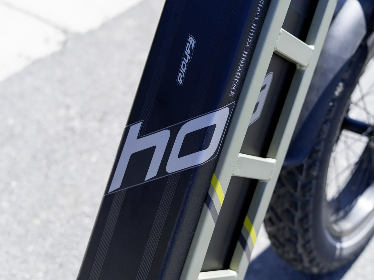 Eahora 2026 Juliet Long-Range Step-Through Electric Bike