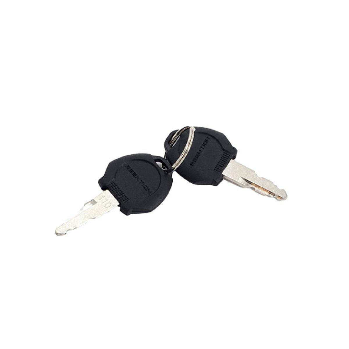 A set of two VTUVIA keys on a ring