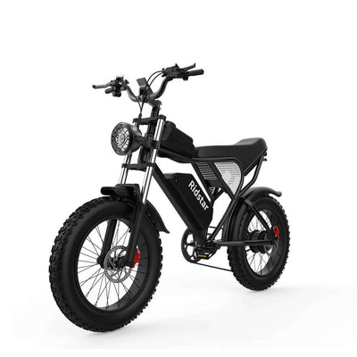 Ridstar® Q20Luxe 1500W 48V 20Ah Battery 20''Fat Tire Mountain Electric Bike for Adult