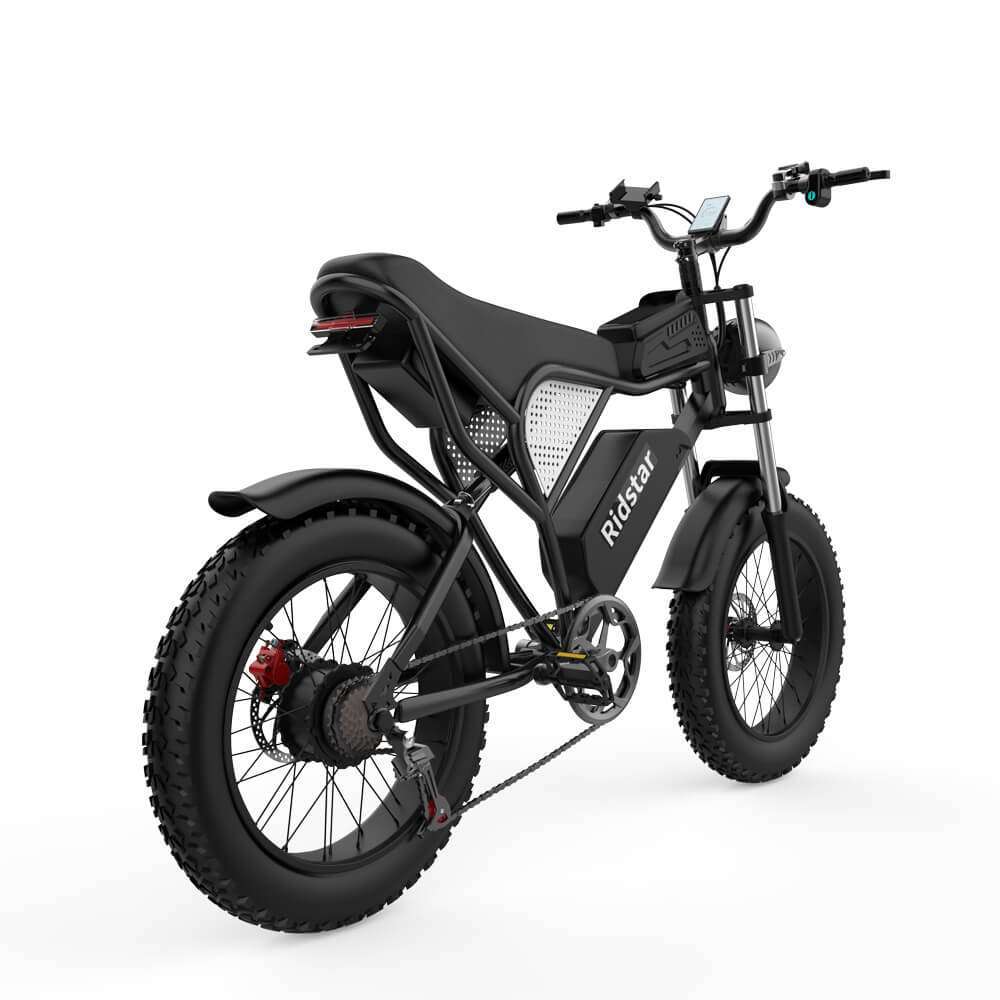 Ridstar® Q20Luxe 1500W 48V 20Ah Battery 20''Fat Tire Mountain Electric Bike for Adult
