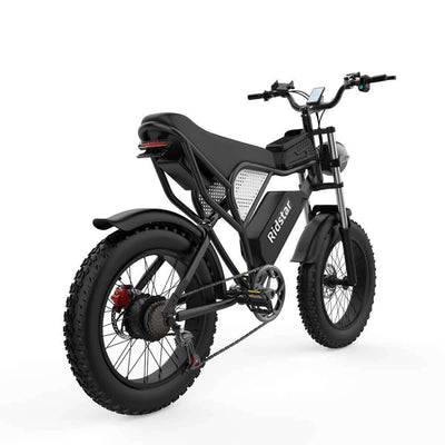 Ridstar® Q20Luxe 1500W 48V 20Ah Battery 20''Fat Tire Mountain Electric Bike for Adult