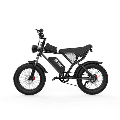 Ridstar® Q20Luxe 1500W 48V 20Ah Battery 20''Fat Tire Mountain Electric Bike for Adult