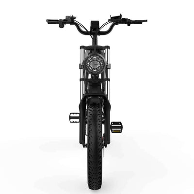 Ridstar® Q20Luxe 1500W 48V 20Ah Battery 20''Fat Tire Mountain Electric Bike for Adult