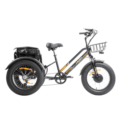 DWMEIGI MG1703 Zeus fat-tire electric trike in Black, side view