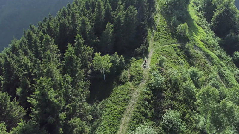 Off-road e-bikes