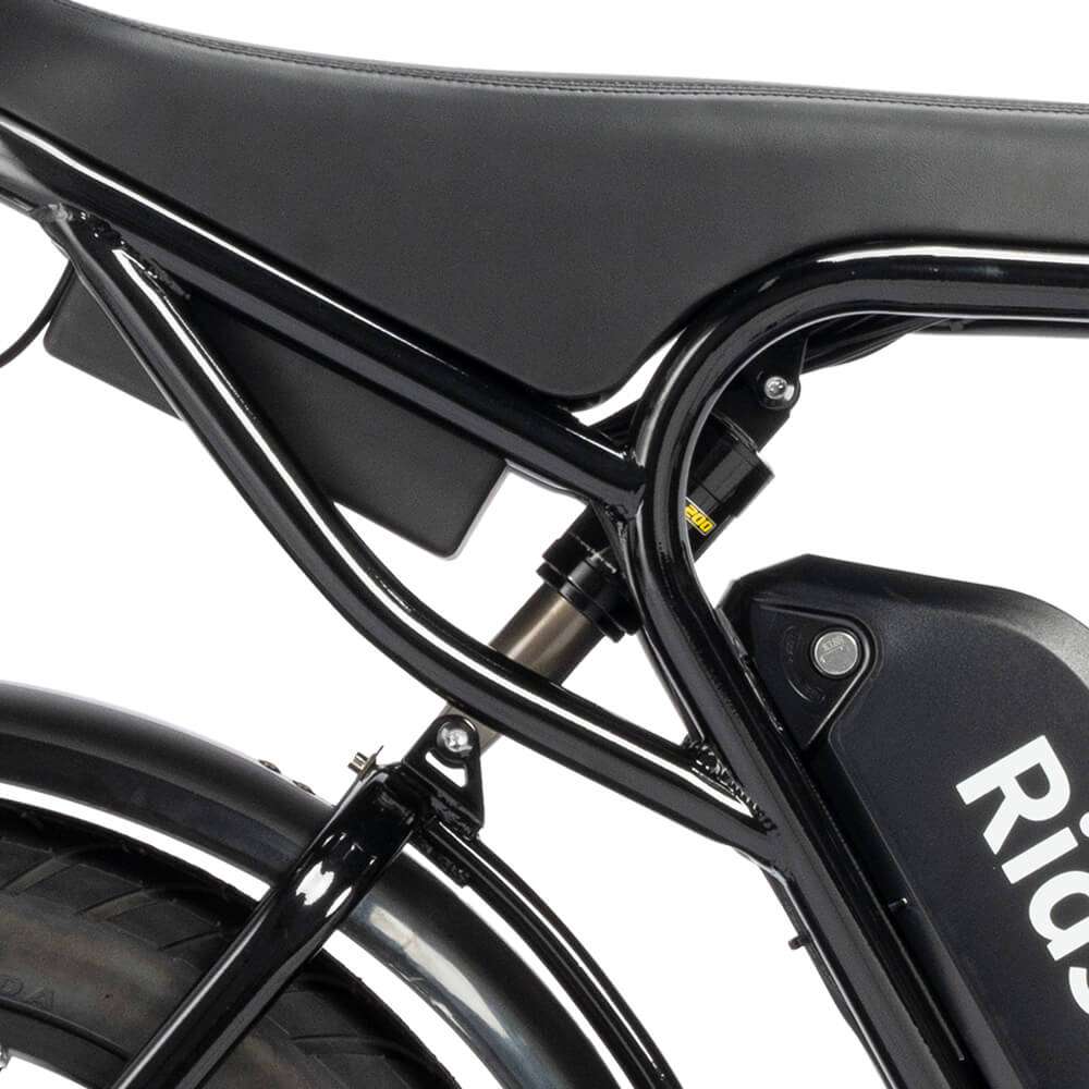 Ridstar® Q20Luxe Lite 1000W Fat Tire Ebike