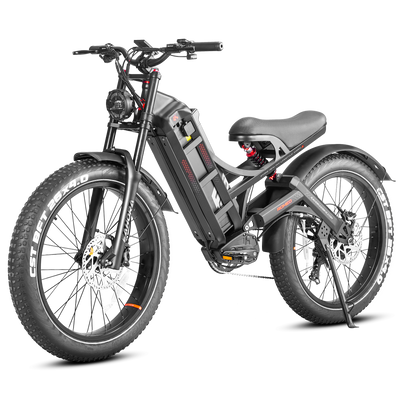 Eahora Romeo Pro Moped-Style Electric Bike