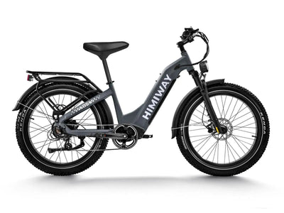D5 ST(Zebra ST) / All-terrain Electric Fat Bike in space grey