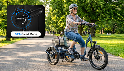 Addmotor U-Trike U-710 Folding Tilting eTrike