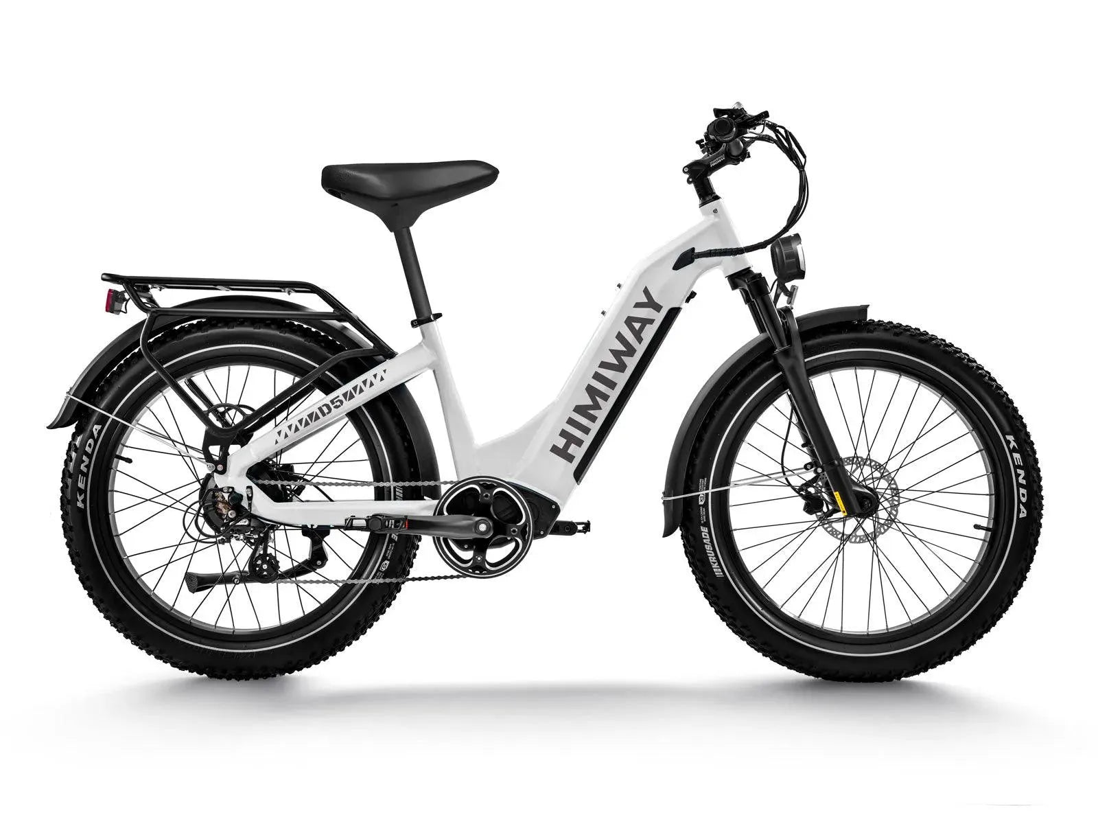 D5 ST(Zebra ST) / All-terrain Electric Fat Bike in white
